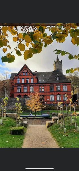 back to school (rote Schule)